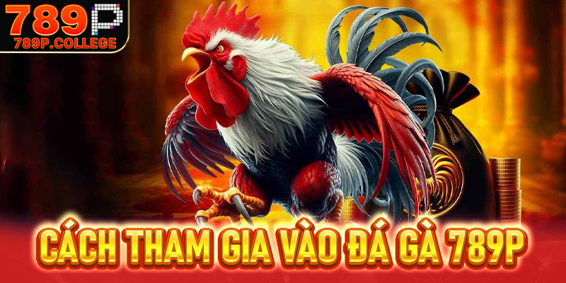 Cách tham gia vào Đá gà 789P