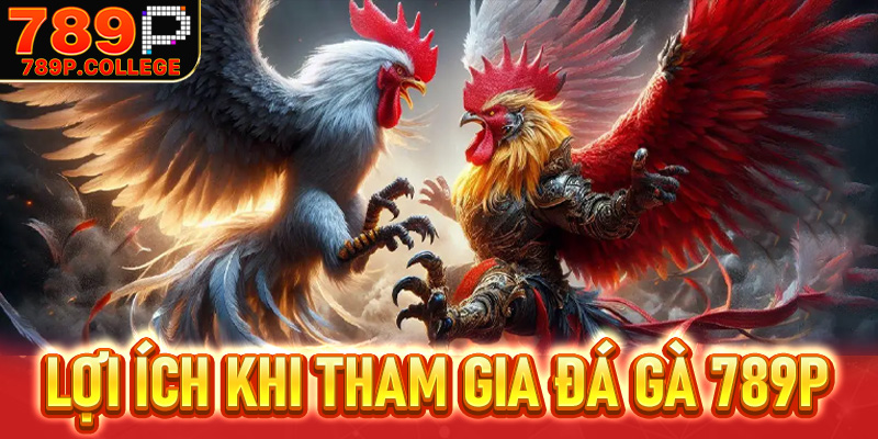 Những lưu ý khi chơi Gà chọi 789P