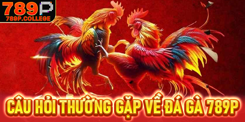 Các câu hỏi thường gặp về Đá gà 789P