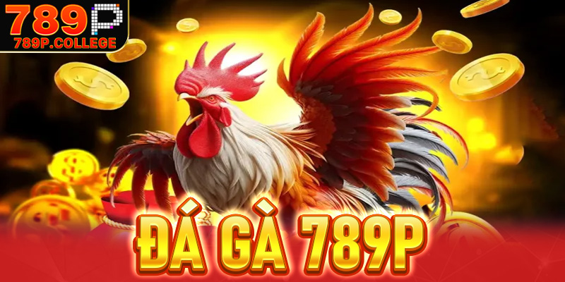 Đá gà 789P - Sân chơi chọi gà lý tưởng cho anh em đam mê